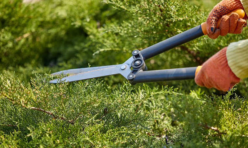 Houzy Magazin Gartenarbeiten Preise und Kosten für Gärtner in der